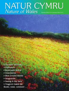 Natur Cymru -55-Summer-2015-cover