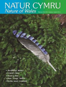 Natur Cymru Issue 48 cover