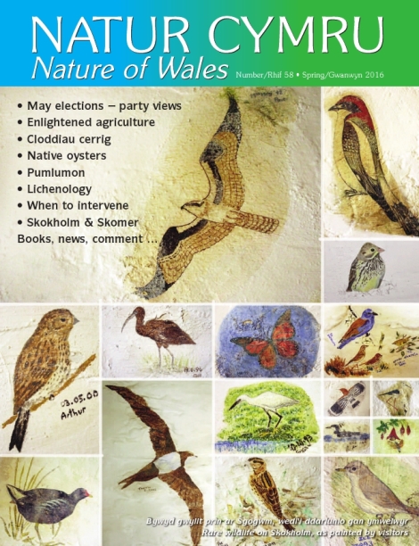 Rhifyn clawr 58 Natur Cymru