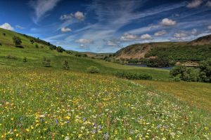 Elan Valley by Sorcha Lewis