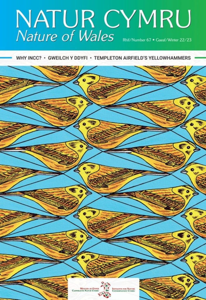 Natur Cymru 67
